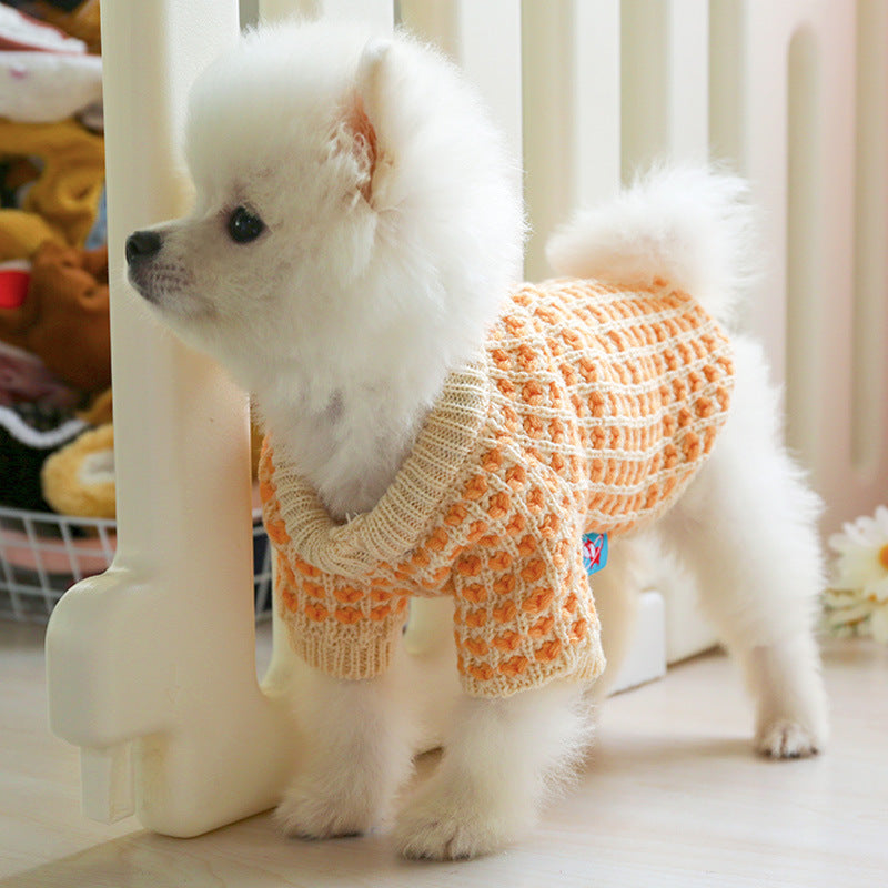 Dibi Bear Sweater for Dogs and Cats in Autumn/Winter