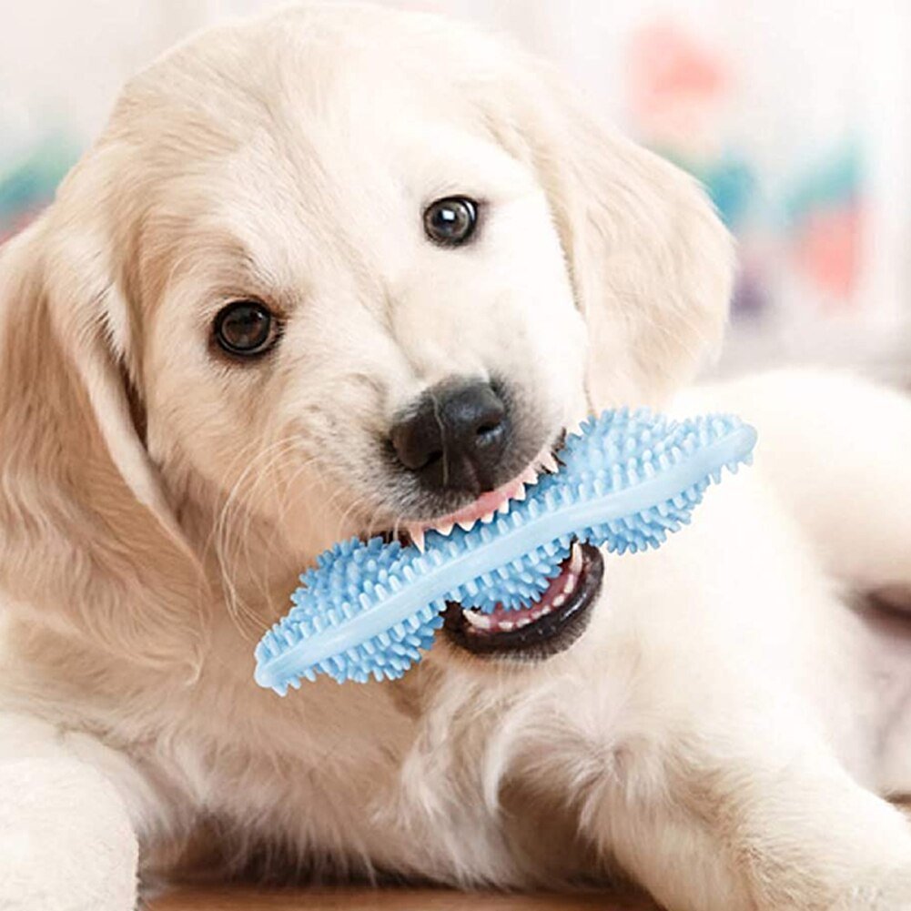Bite-Resistant Dog Toy Ball for Interactive Chewing